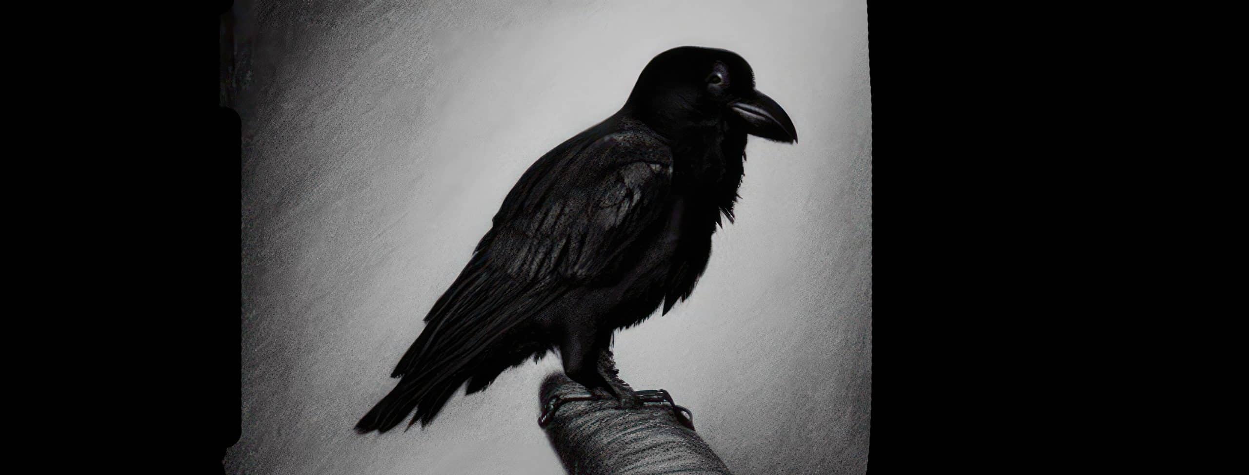 10 Symbolisms of the Raven in Wiccan Traditions Mystic Imports